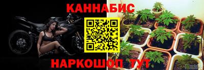 спиды Новокубанск