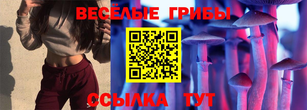 Орёл  Псилоцибиновые грибы Psilocybe  где продают наркотики  Вход с VPN  Галлюциногенные грибы ЛСД 